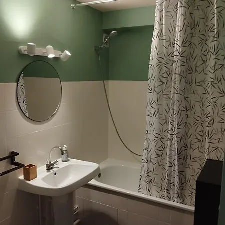 Proches Des Pistes F2 36m2 4-6 Pers 2 Etoiles Apartamento Besse-et-Saint-Anastaise