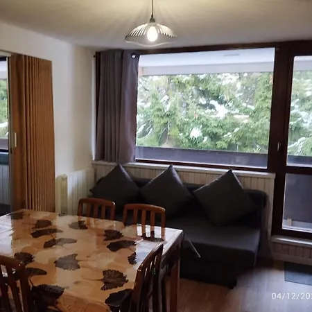 Proches Des Pistes F2 36m2 4-6 Pers 2 Etoiles Apartamento Besse-et-Saint-Anastaise